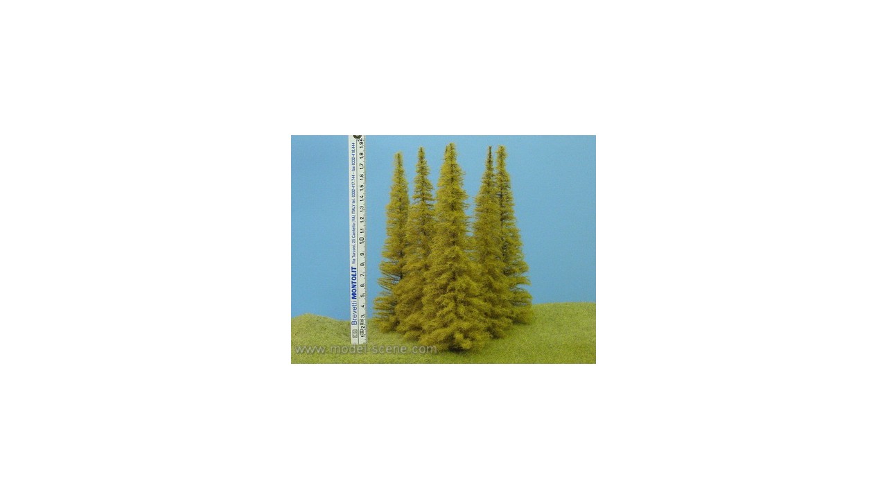 Lariks herfst 18-22 cm - 3 stuks