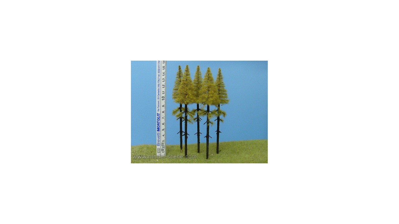 Lariks met stam herfst 14-16 cm - 5 stuks