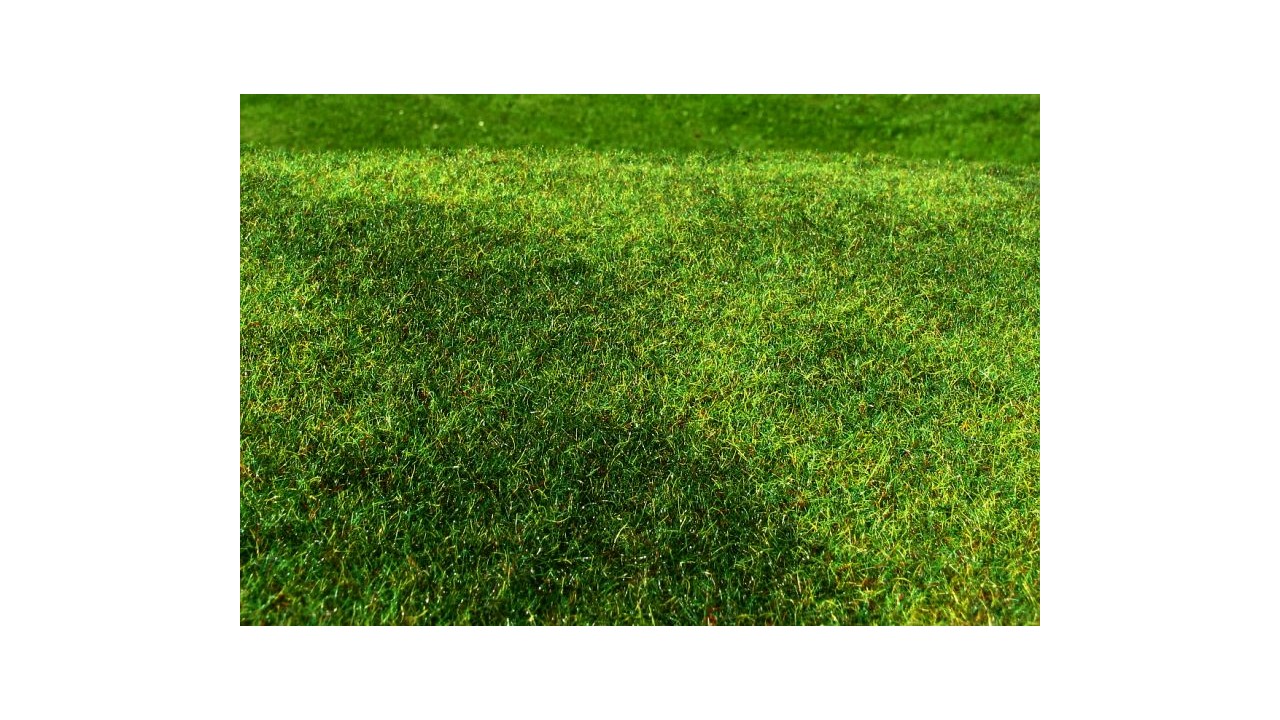 Gemaaide Weide - Vroege zomer - 18 x 28 cm