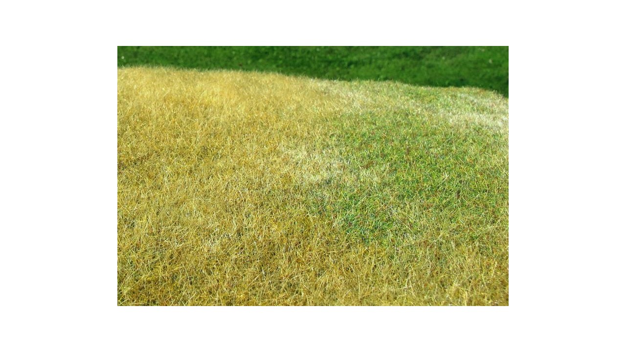 Hoge weide, Late zomer - 18 x 28 cm