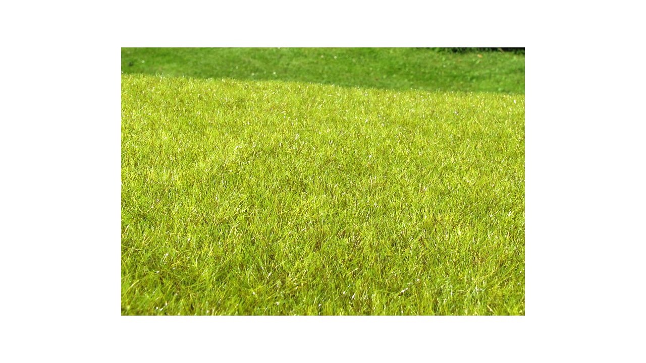 Drassige grond licht - 18 x 28 cm