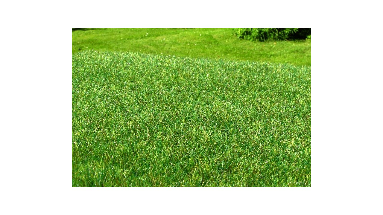 Drassige grond donker - 18 x 28 cm