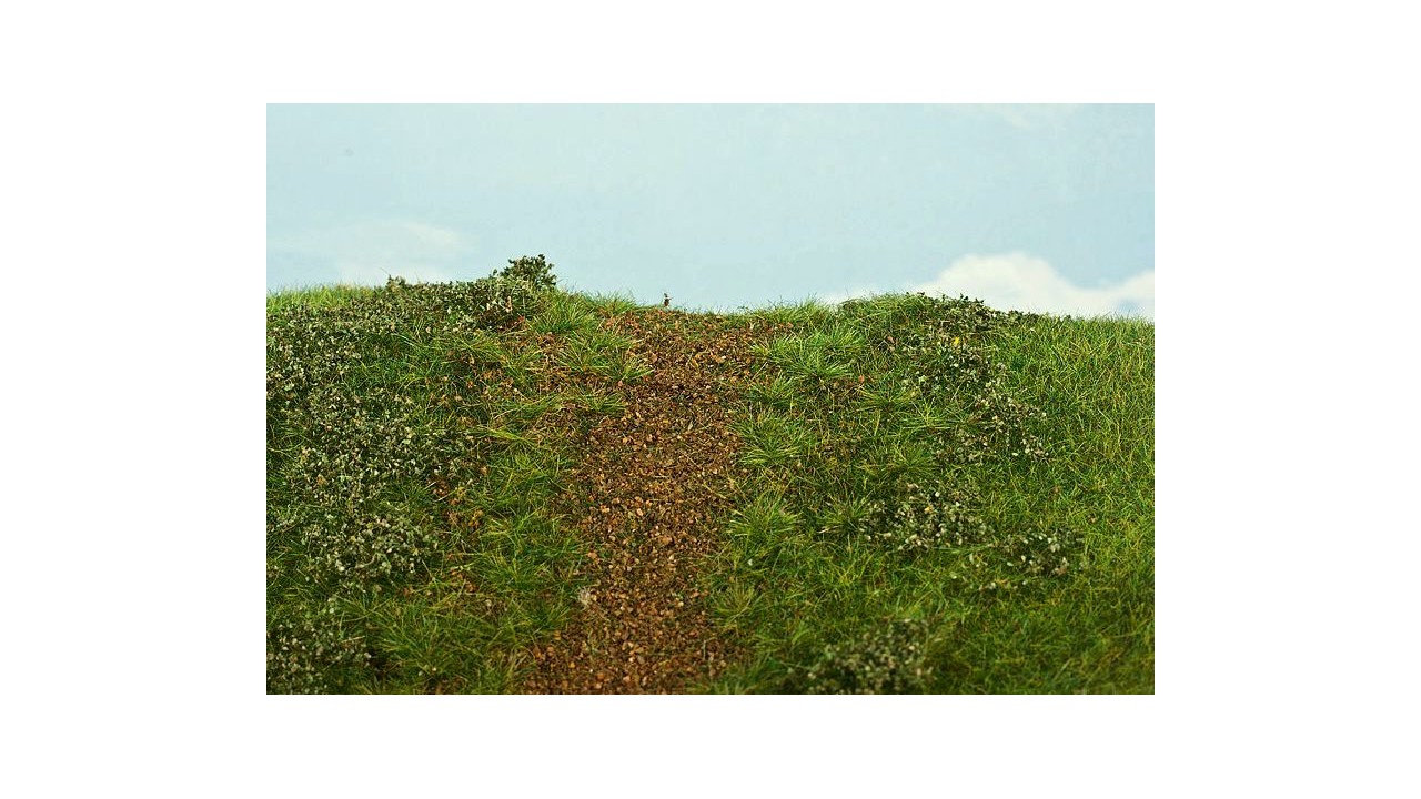 Dijk begroeiing - Vroege zomer - 18 x 28 cm