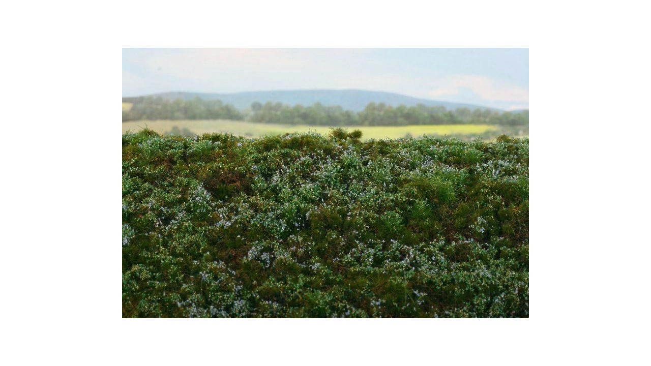 Bosgrond - bosbessen - 18 x 28 cm