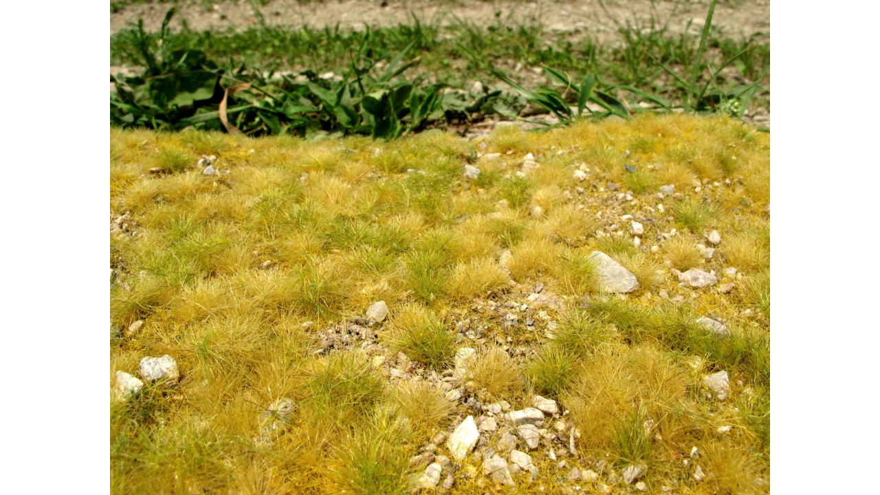 Late zomer, klein kalksteen - 18 x 28 cm