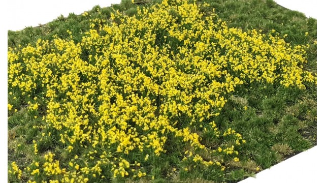 Layered Tufts Flowers yellowc summer 2-6mm