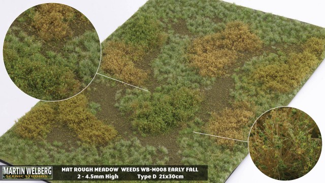 Rough Meadow Weeds Early Fall D – mat 30*21 cm
