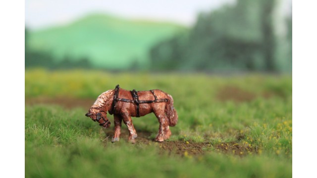 Trekpaard ‘Oons Peard’