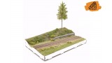 Bosgrond & spoor diorama - 23 november 2024