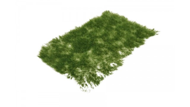 Graspollen late lente - lang, 15 x 21 cm