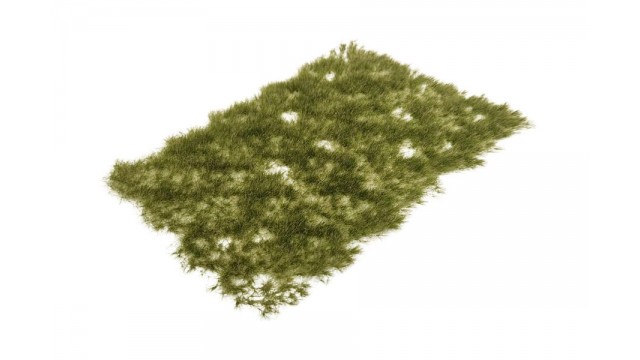 Graspollen late zomer - lang, 15 x 21 cm