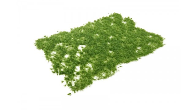 Graspollen late lente - lang, 15 x 21 cm