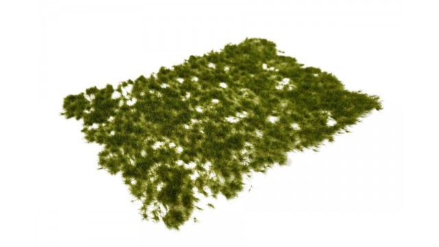 Graspollen late zomer - lang, 15 x 21 cm