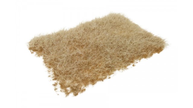 Riet - herfst, 15 x 21 cm