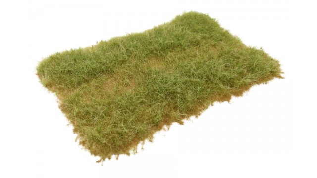 Helmgras, 15 x 21 cm