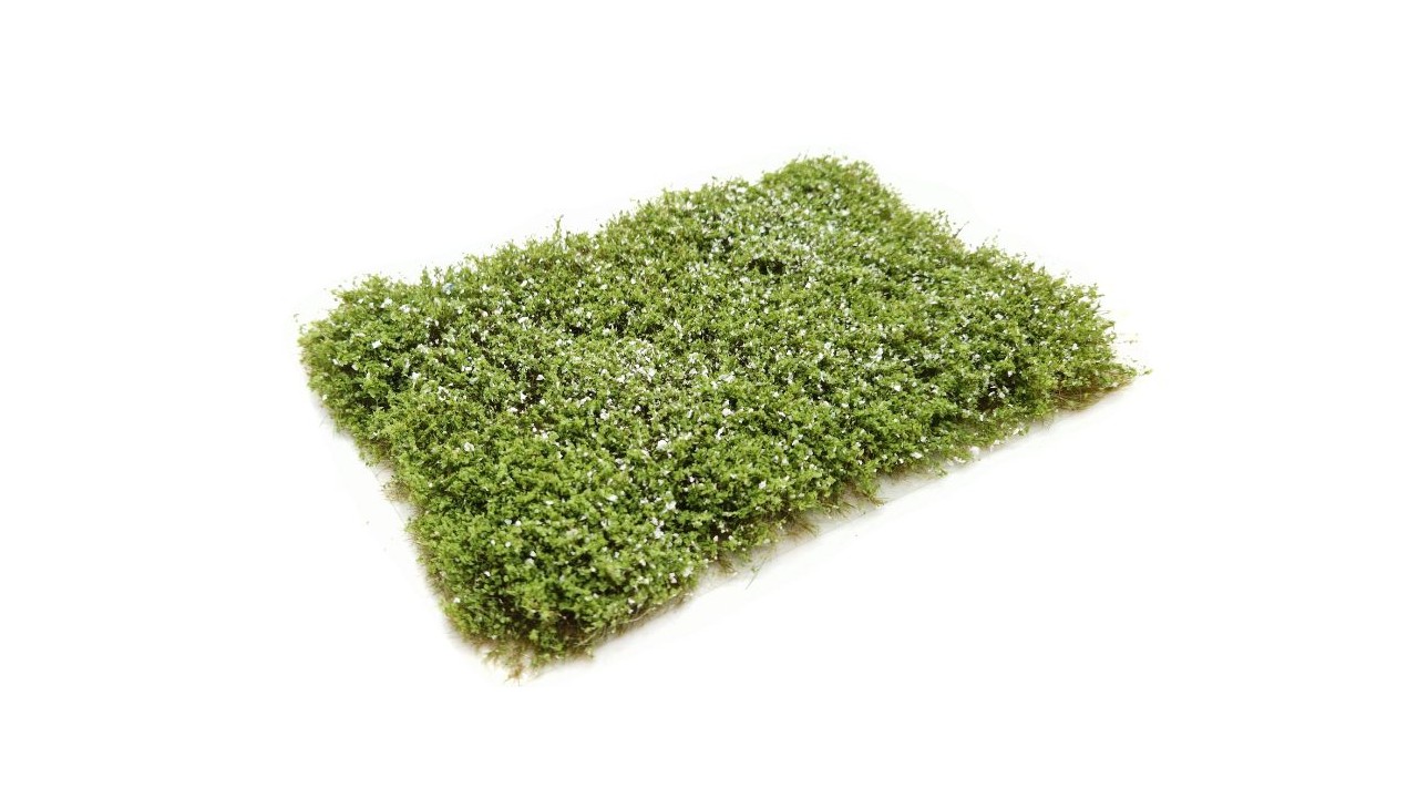 Heggenroos, alba, 15 x 21 cm