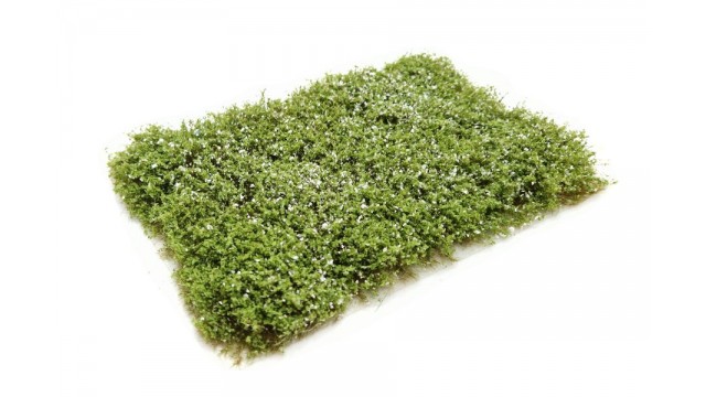 Heggenroos, alba, 15 x 21 cm