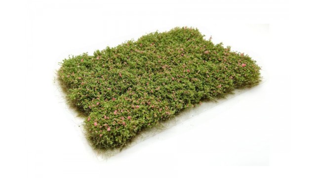 Heggenroos, 15 x 21 cm