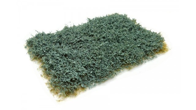 Duindoorn, 15 x 21 cm