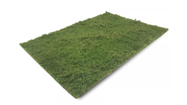 Weiland met onkruid zomer - kort, 29 x 42 cm