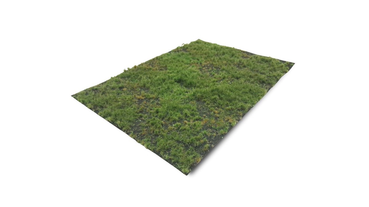 Bosbodem - type 1, 42 x 58 cm