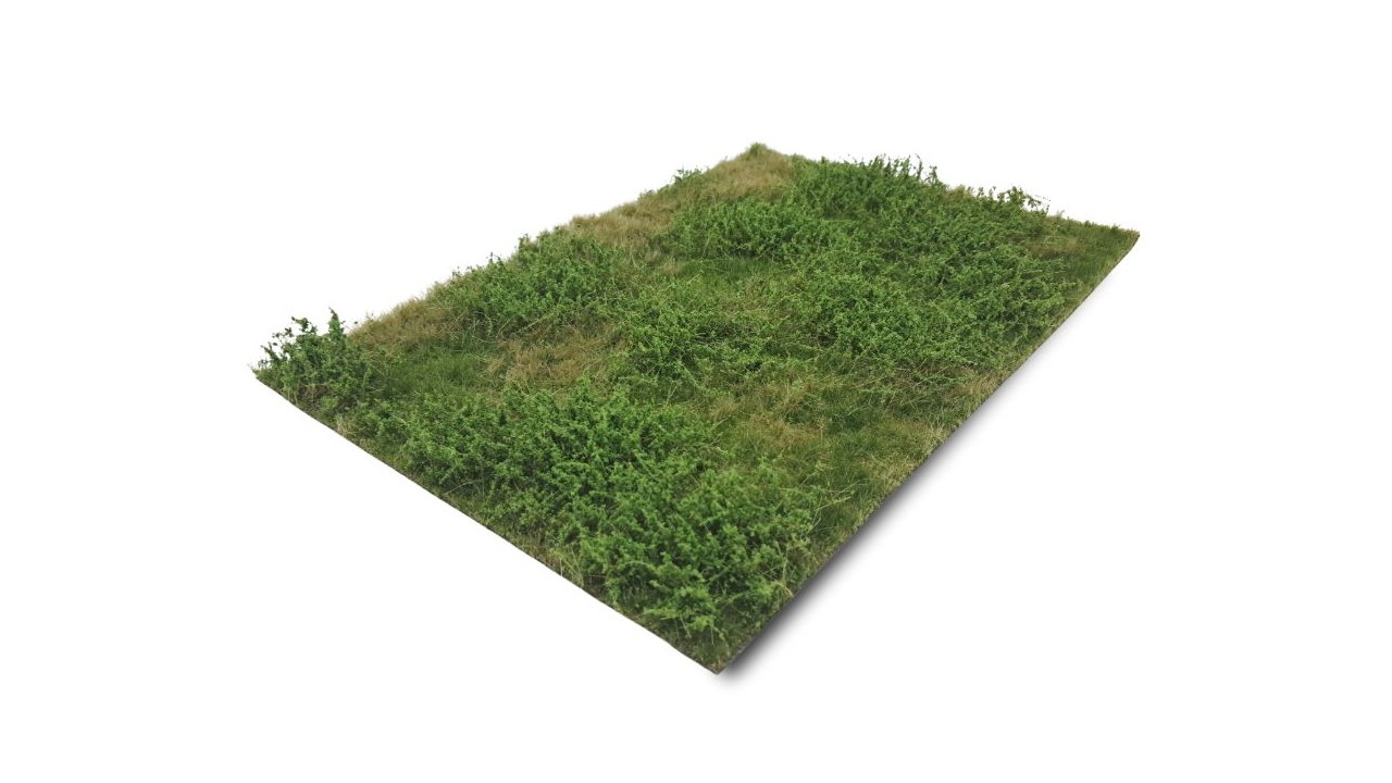 Wilde berm zomer, 42 x 58 cm