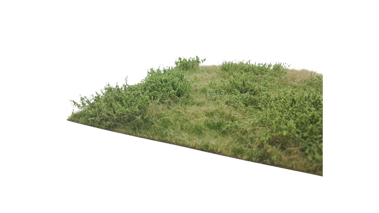 Wilde berm zomer, 29 x 42 cm