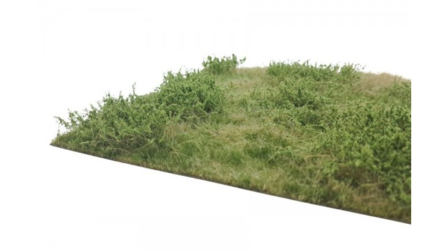 Wilde berm zomer, 29 x 42 cm