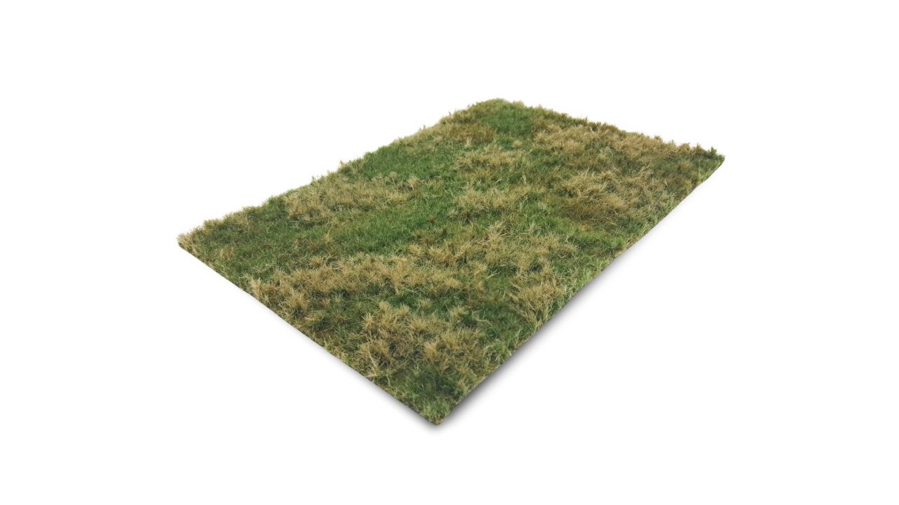 Grasland zomer - wild, 29 x 42 cm