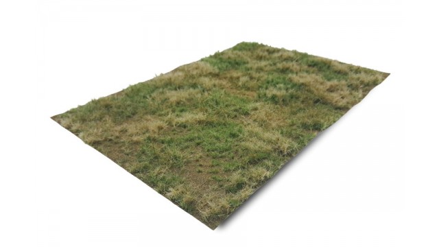 Grasland zomer - wild, dorre grond, 42 x 58 cm