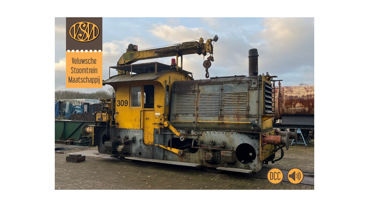 Exclusief: VSM 309, DCC, sound