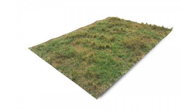 Bosbodem - type 2, 42 x 58 cm