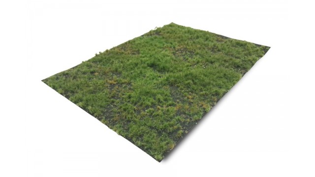 Bosbodem - type 1, 21 x 29 cm