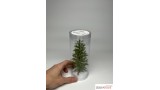 Europese lariks, Lente, 3/3, 7-9 cm