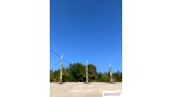 Staande dode fijnsparren, 4-9 cm