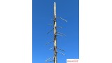 Staande dode fijnsparren, 4-9 cm
