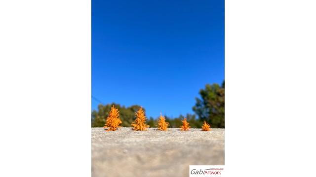 Jonge Europese lariksen, late herfst