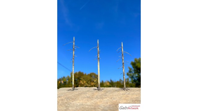 Staande dode lariksen, 10-15 cm
