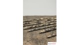 Omgevallen lariksstammen