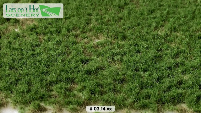 Graspollen weiland lente - kort, 15 x 21 cm