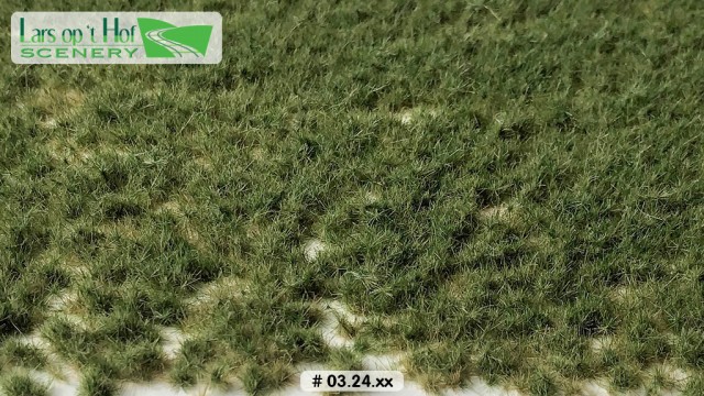 Graspollen weiland zomer - kort, 15 x 21 cm