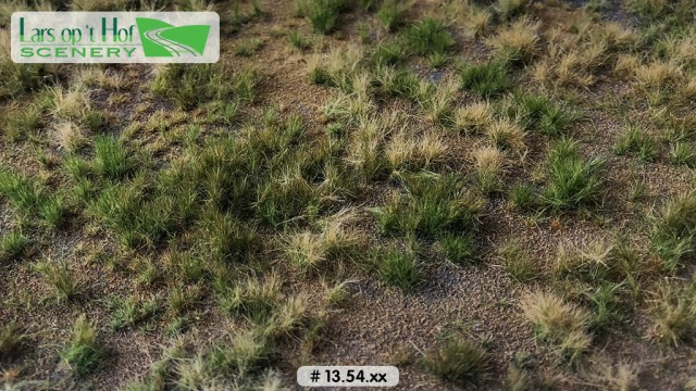 Grasland zomer - wild, dorre grond, 18,5 x 26,5 cm