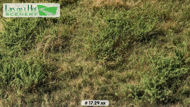 Wilde berm zomer, 18,5 x 26,5 cm