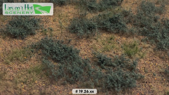 Woestijn met Bijvoet - type 2, 18,5 x 26,5 cm