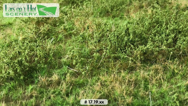 Wilde berm lente, 29 x 38 cm