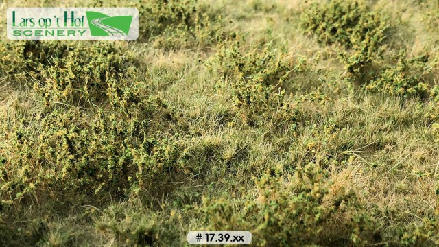 Wilde berm herfst, 18,5 x 26,5 cm