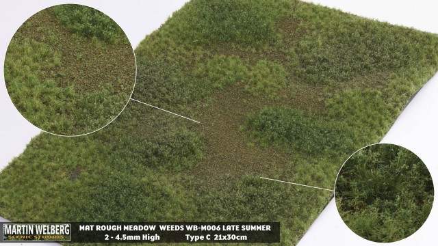 Rough Meadow Weeds Late Summer C – mat 30*21 cm