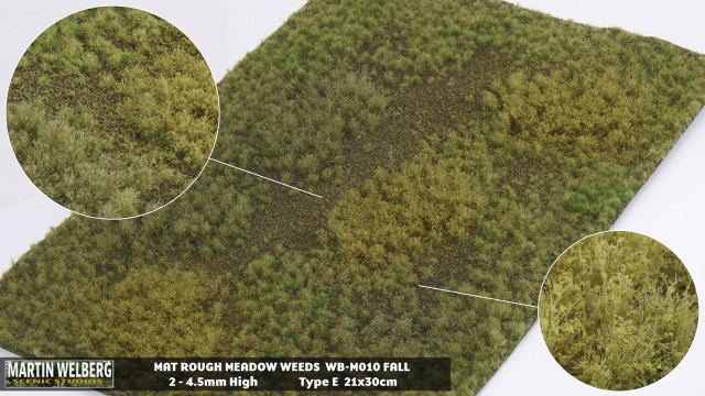 Rough Meadow Weeds Fall E – mat 30*21 cm