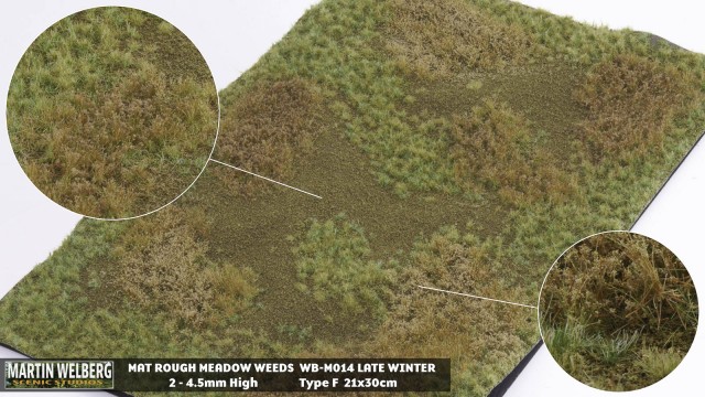 Ruwe weide Winter Gras G - 30x21cm