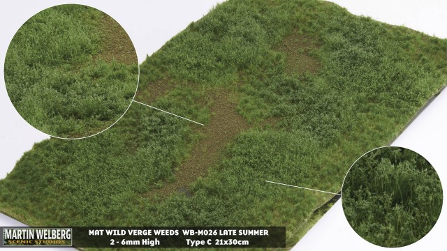 Wild Verge Weeds type  C late summer – mat 30*21 cm